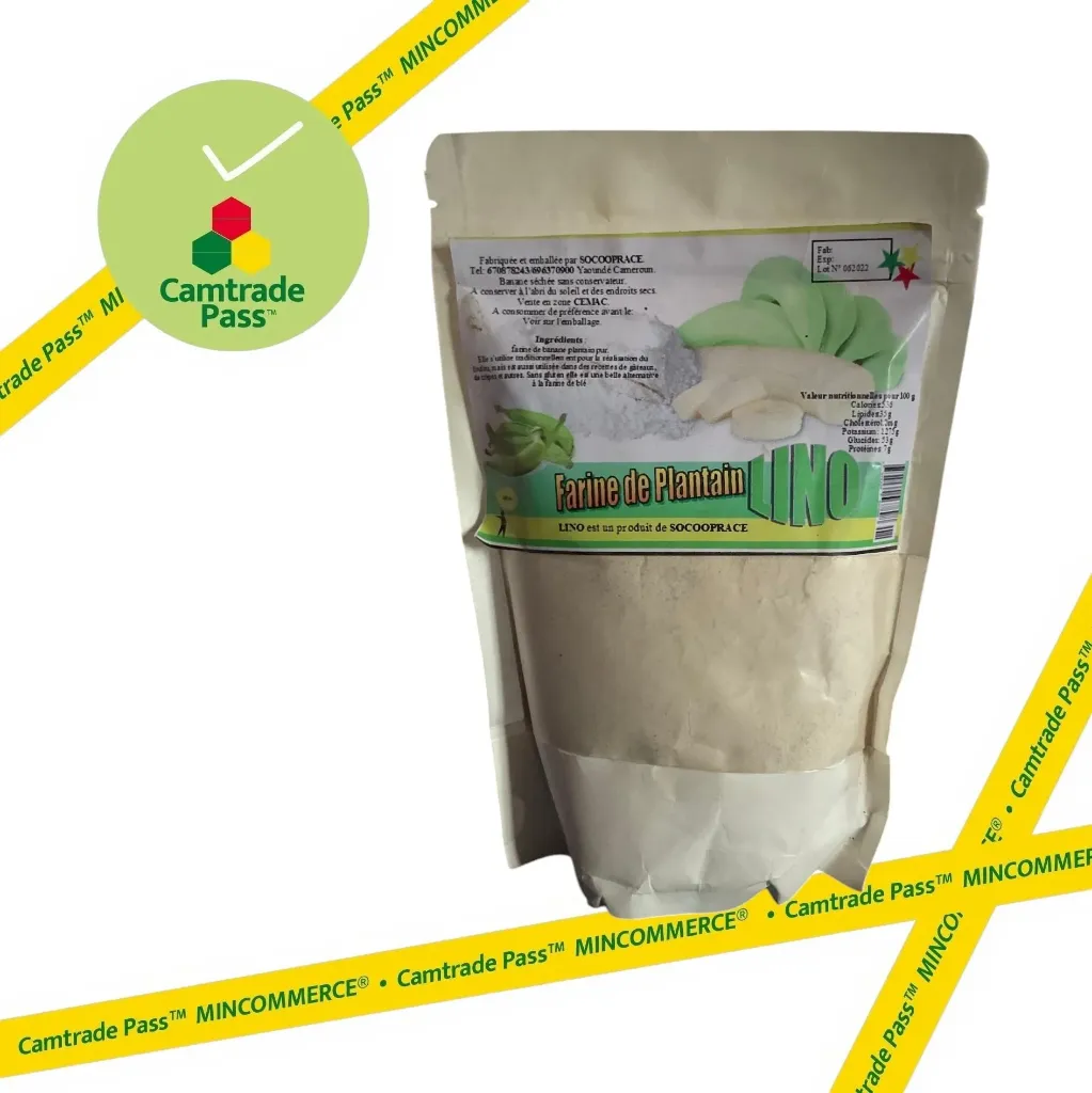 Farine de Plantain 100g