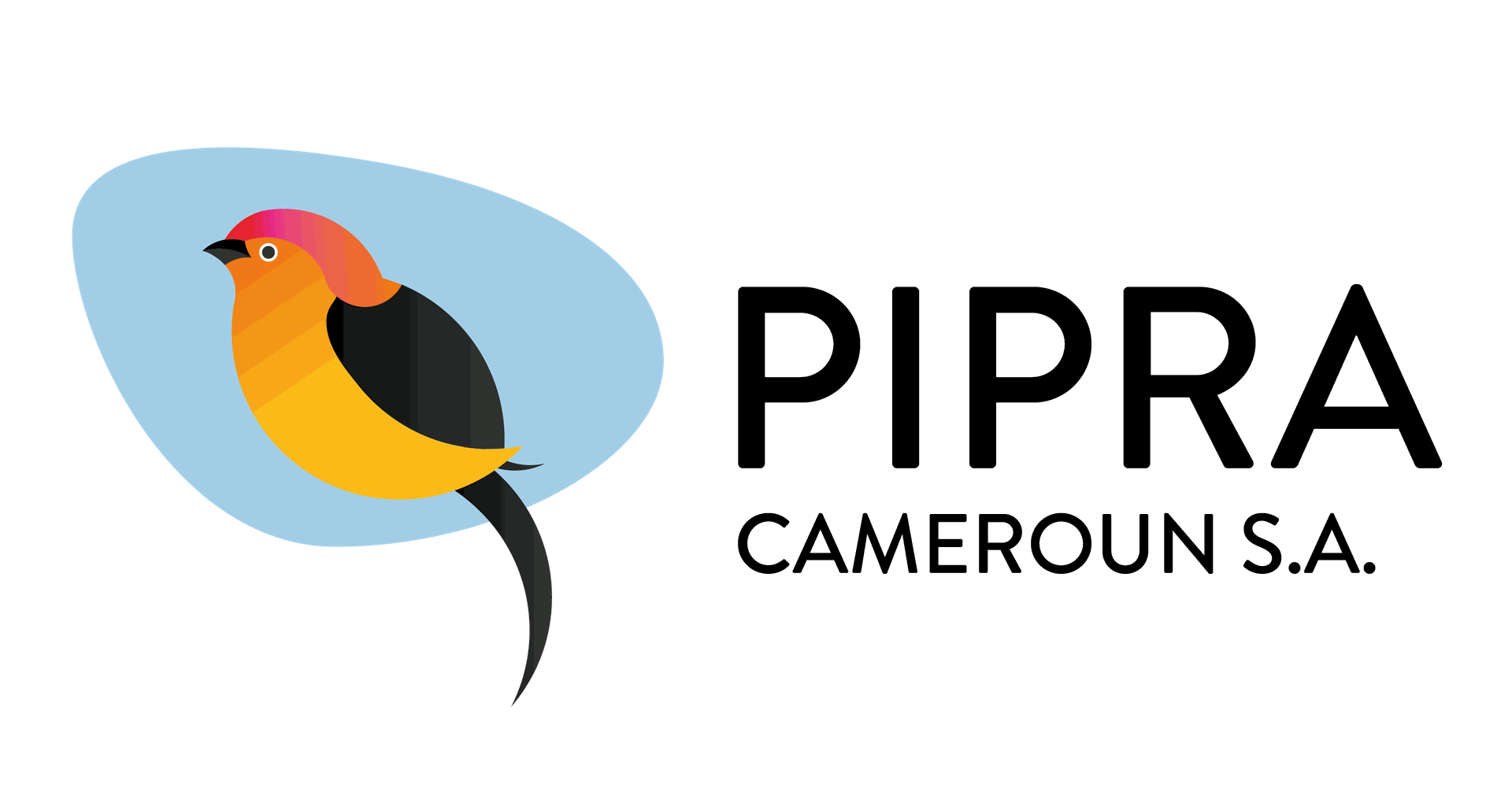 PIPRA Cameroun S.A.